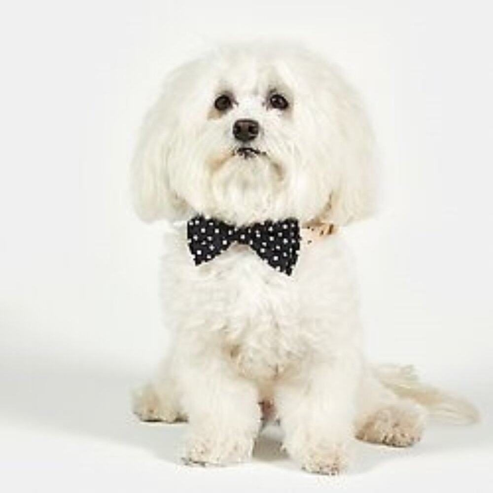 ❤️NWT❤️ Pet Bow Ties - Black Polka Dot
